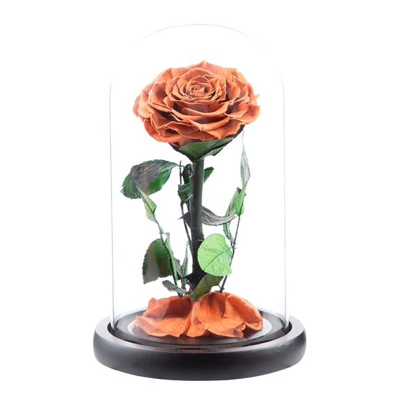 Kjfeif Light Up Rose in Glass Dome, Colorful Artificial Flower Rose Gift for Her Birthday, Unique Love Gifts for Mom Women, Mother's Day Present, RomanticHome Decoration