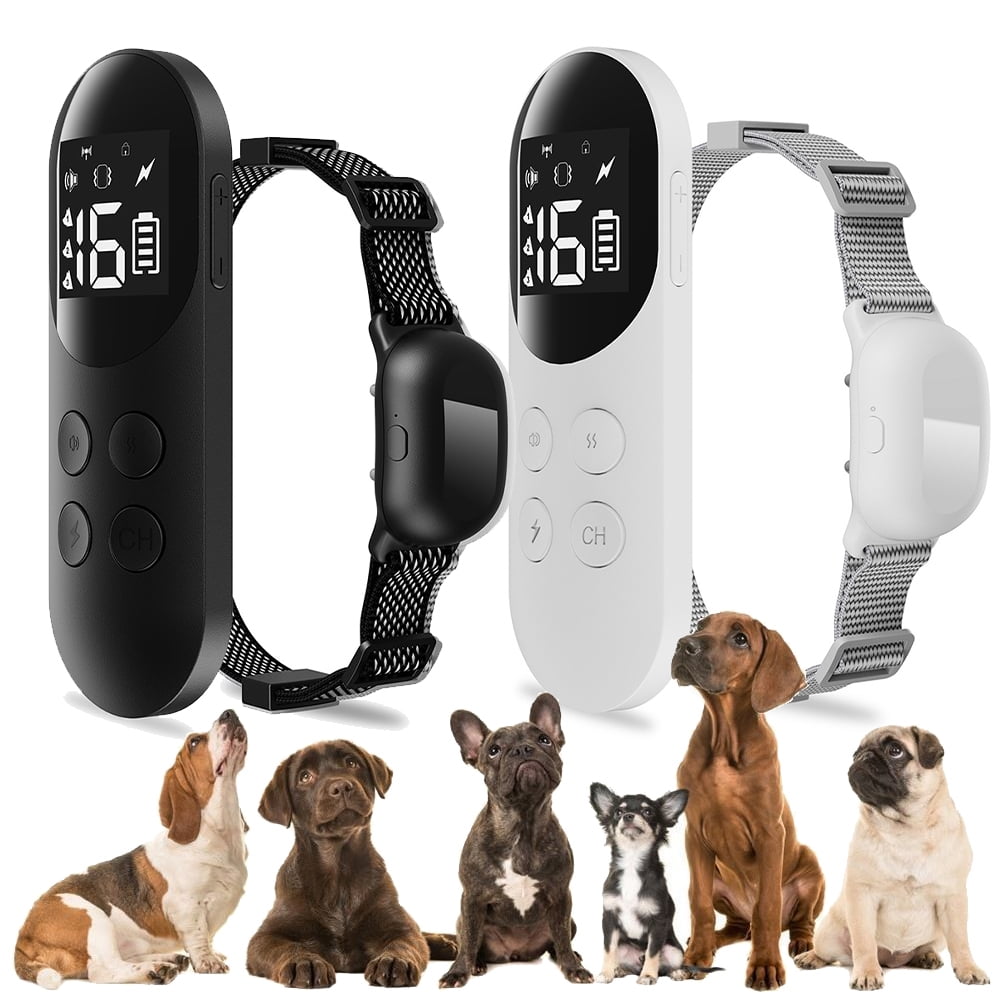 Indoor shock collar for dogs online