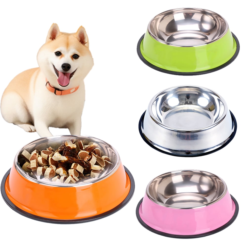 Cat Food Bowls That Keep Ants Out