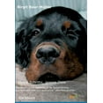 thumbnail image 1 of Kleine Schritte, grosse Ziele (Paperback), 1 of 1