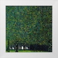thumbnail image 1 of Klimt, Gustav 20x20 White Modern Wood Framed Museum Art Print Titled - The Park 1910, 1 of 4