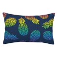 thumbnail image 1 of Kll Abstract Bright Pineapple Fruit Retro Pillow Covers Envelope Closure,Super Soft And Cozy Fuzzy Fleece Pillow Case Cover 16"X24", 1 of 9