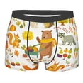 thumbnail image 1 of Kll Autumn Forest Animals Men'S Cotton Boxer Briefs Underwear-Small, 1 of 9