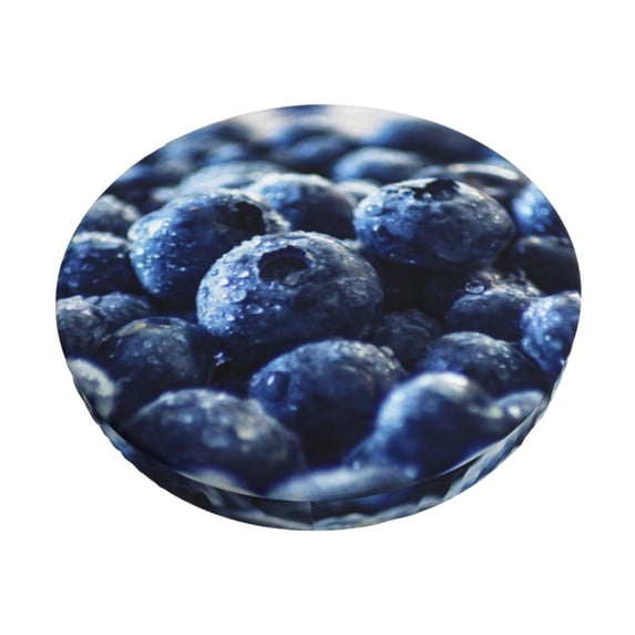 Kll Blueberry Round Bar Chair Cushion Cover 14 Inch,Bar Stool Protector With Elastic, Soft Washable