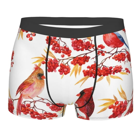 Kll Bullfinch On Branch Men'S Cotton Boxer Briefs Underwear-Small