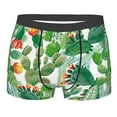thumbnail image 1 of Kll Cactus 3 Men'S Cotton Boxer Briefs Underwear-Xx-Large, 1 of 9