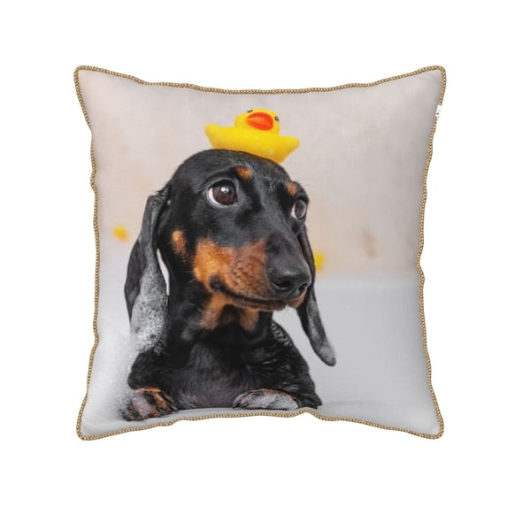 Kll Dachshund Sitting In Bathtub Decorative Throw Pillow Covers Velvet Soft For Couch Sofa Bedroom Living Room Outdoor -20"X20"
