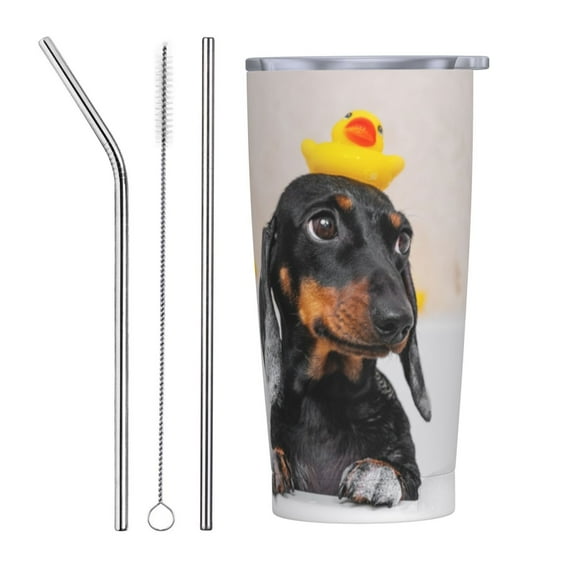 Kll Dachshund Sitting In Bathtub Stainless Steel Vacuum Insulated Coffee Cup 20 Oz Insulated Travel Mug Water Cup With Leak-Proof Straw Lid & Flip Lid,1 Metal Straws,1 Cleaning Brush