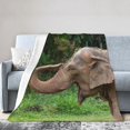 thumbnail image 1 of Kll Fleece Blanket Plush Throw Blanket Asia Elephant,Soft Fuzzy Cozy Flannel Blanket For Couch Sofa Bed.(40"X30"), 1 of 9