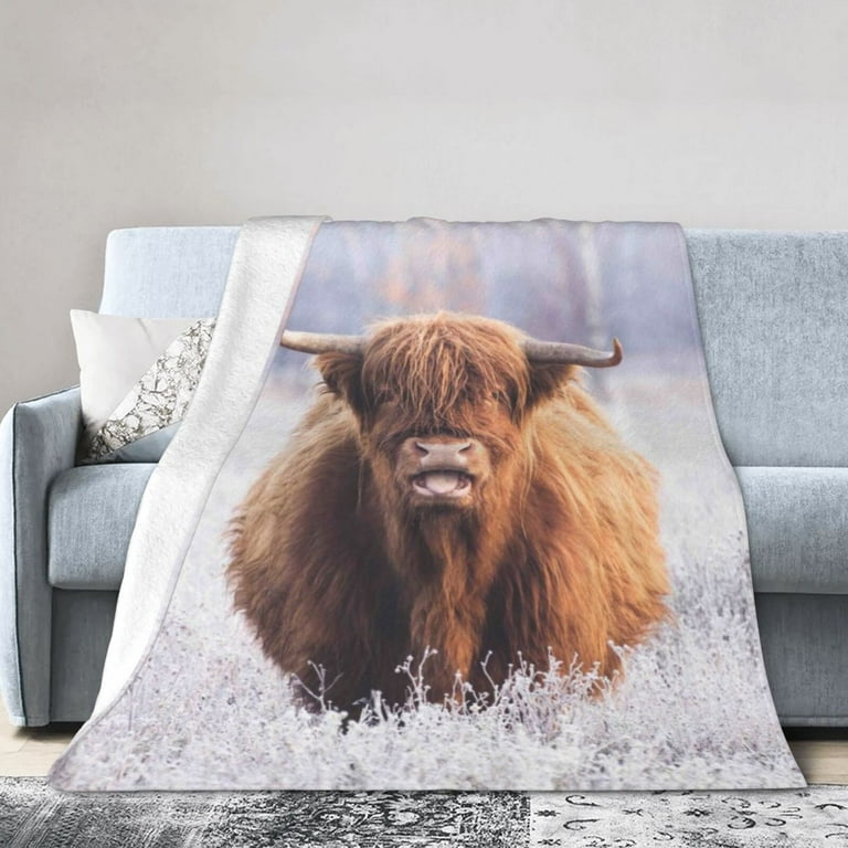 Kll Fleece Blanket Plush Throw Blanket Highland Cow Soft Fuzzy Cozy Flannel Blanket For Couch Sofa Bed. 60 X50 Walmart