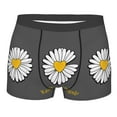 thumbnail image 1 of Kll Keep Life Simple Daisy Flower Men'S Cotton Boxer Briefs Underwear-Small, 1 of 9