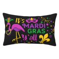 thumbnail image 1 of Kll Mardi Gras With Flamingo Pillow Covers Envelope Closure,Super Soft And Cozy Fuzzy Fleece Pillow Case Cover 16"X24", 1 of 8