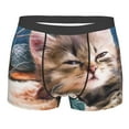 thumbnail image 1 of Kll Playful Cat Men'S Cotton Boxer Briefs Underwear-Xx-Large, 1 of 9