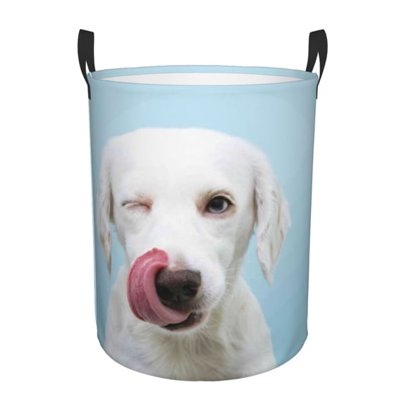 Kll Puppy Licks Nose Waterproof Foldable Laundry Hamper Bucket With Handles For Storage Bin,Kids Room,Home Organizer (Small)