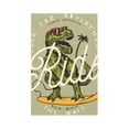 thumbnail image 1 of Kll Ride The Wave Dinosaur Surfer In Sunglasses Vintage Surfing Wall Plate,Gloss Finish,Standard Size 1 - 5" X 3", Polycarbonate Thermoplastic,Electric Receptacle Plug Covers, 1 of 8