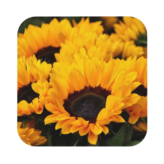 Kll Square Drink Coasters Set Of 4,Pu Leather Absorbent Coasters Set Decorative Coffee Cup Coasters Housewarming Gift For Home Decor-Flower Bush Sunflower