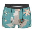 thumbnail image 1 of Kll Teal Mama Llama Men'S Cotton Boxer Briefs Underwear-Medium, 1 of 9