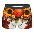 thumbnail image 1 of Kll Thanksgiving With Autumn Pumpkins Fall Leaves Men'S Cotton Boxer Briefs Underwear-Small, 1 of 9