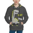 thumbnail image 1 of Kll Unisex Kids Boys Girls Hooded Pocket Pullover Hoodies-Cute Dinosaur Skate, 1 of 9