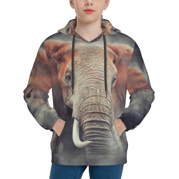 Kll Unisex Kids Boys Girls Hooded Pocket Pullover Hoodies-Elephant In Smoke
