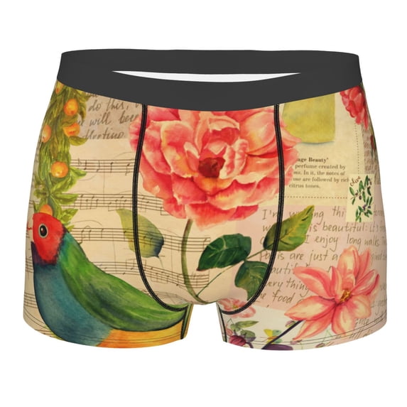 Kll Vintage Bird Men'S Cotton Boxer Briefs Underwear-Medium