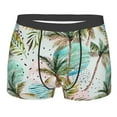 thumbnail image 1 of Kll Watercolor Palm Tree Men'S Cotton Boxer Briefs Underwear-Xx-Large, 1 of 9