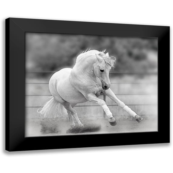 Klopfer, Lee 24x20 Black Modern Framed Museum Art Print Titled - All For Show