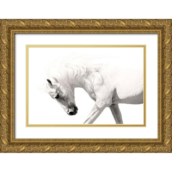 Klopfer, Lee 32x23 Gold Ornate Wood Framed with Double Matting Museum Art Print Titled - Neutral Stallion