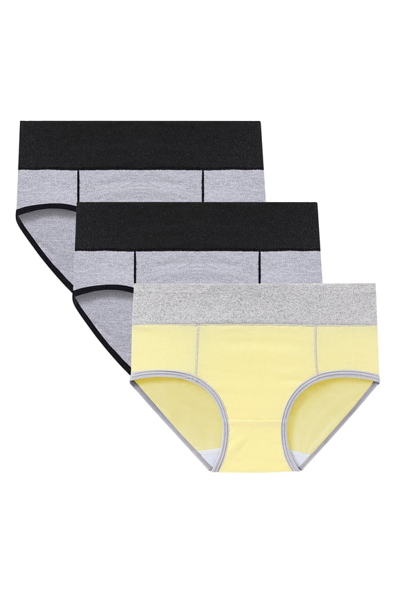 Womens Underwear 3PC Comfortable High Waisted Panties Physiological Underpants (Regular & Plus Size)