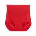 thumbnail image 1 of Kmdttou Womens Underwear Ladies Comfortable Ice Shreds Cool Large Size Abdominal Contraction Panties Hight Waiste Underpants (Regular & Plus Size), 1 of 7