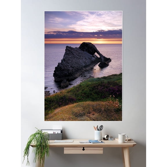 Kna Prints - 1 Pc Poster Bear Fashion Magazine Inspired Animal Portrait Photography Print Fny Bathroom Decor Large Wall Art #2751 , UNFRAMED-16x24