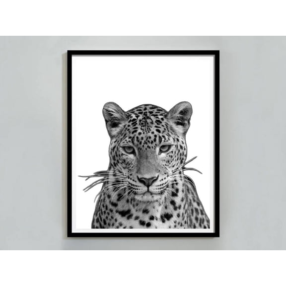 Kna Prints - 1 Pc Poster Black And White Cheetah Print, Leopard , Trendy Fashion Wall Art, Hypebeast Girls Room Decor, Y2K, UNFRAMED-8x12