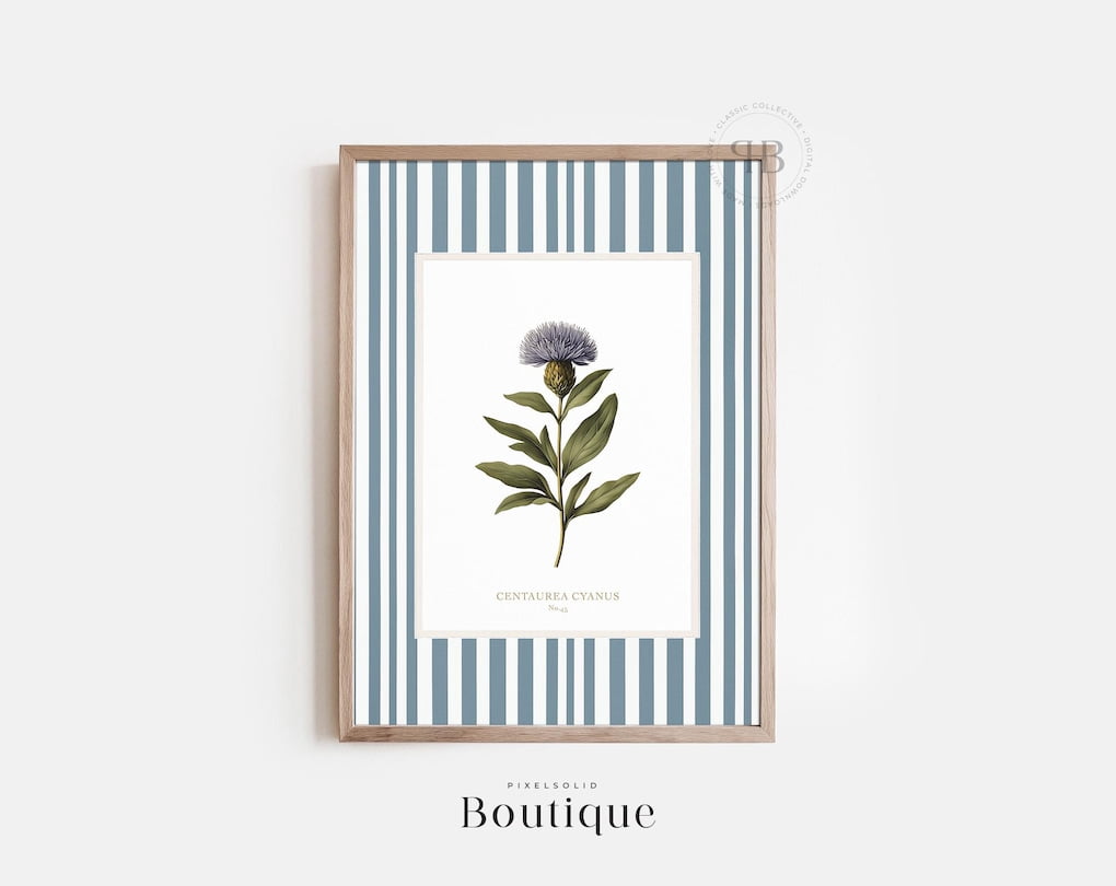 Kna Prints - 1 Pc Poster Cornflower Botanical Print, Vintage Style ...