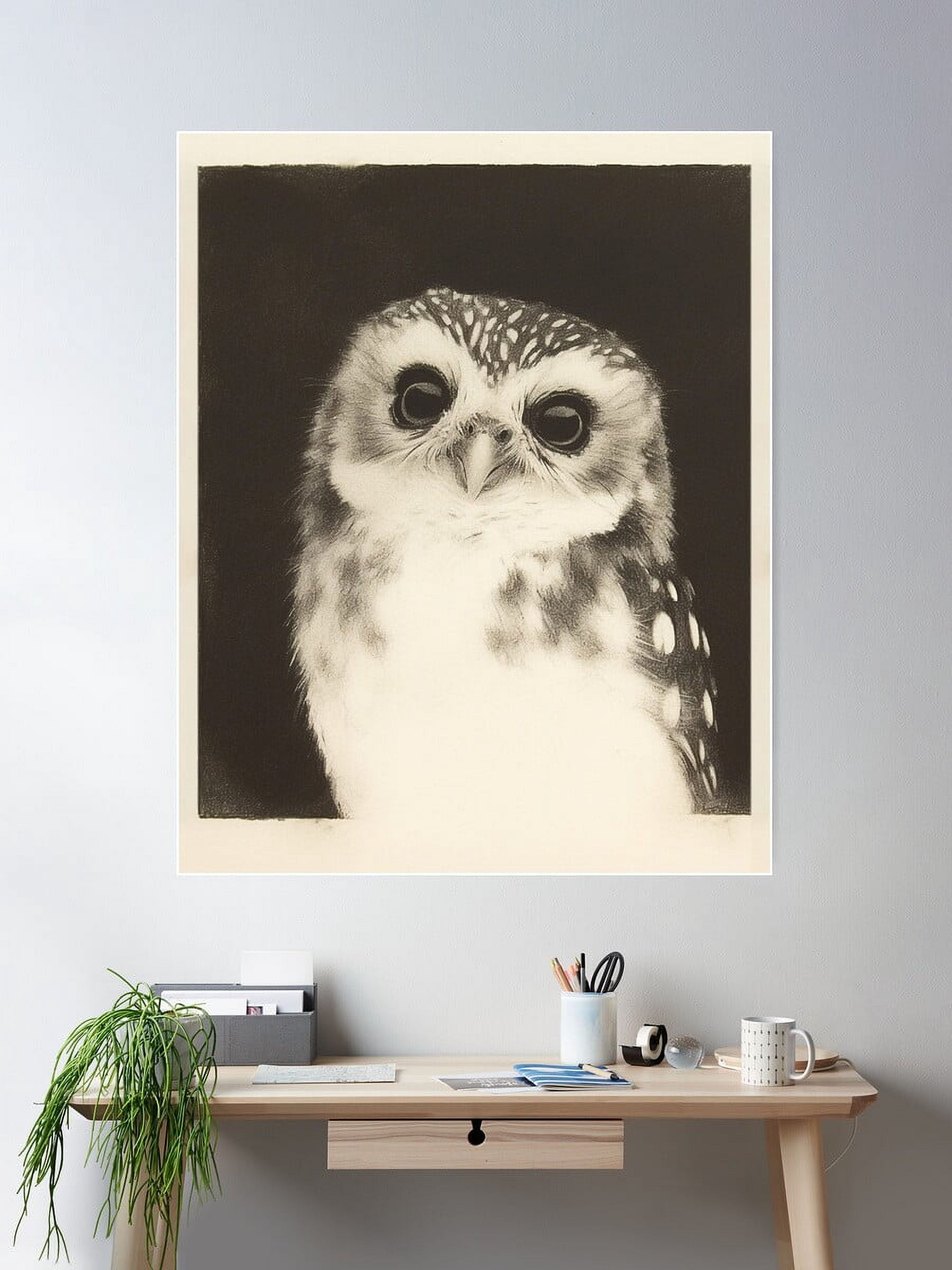 Kna Prints - 1 Pc Poster Cute Little Owl, UNFRAMED-8x12 - Walmart.com