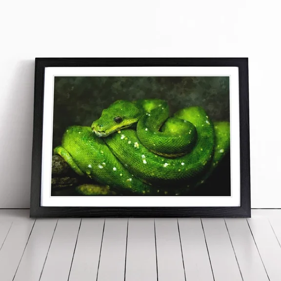 Kna Prints - 1 Pc Poster Green Python Snake Wall Poster Decor Living Room, UNFRAMED-8x12