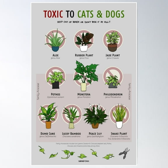 Kna Prints - 1 Pc Poster Mickey Mouse Magazine Mickey Minnie And Santa Christmas Vintage Art Print, UNFRAMED-24x36