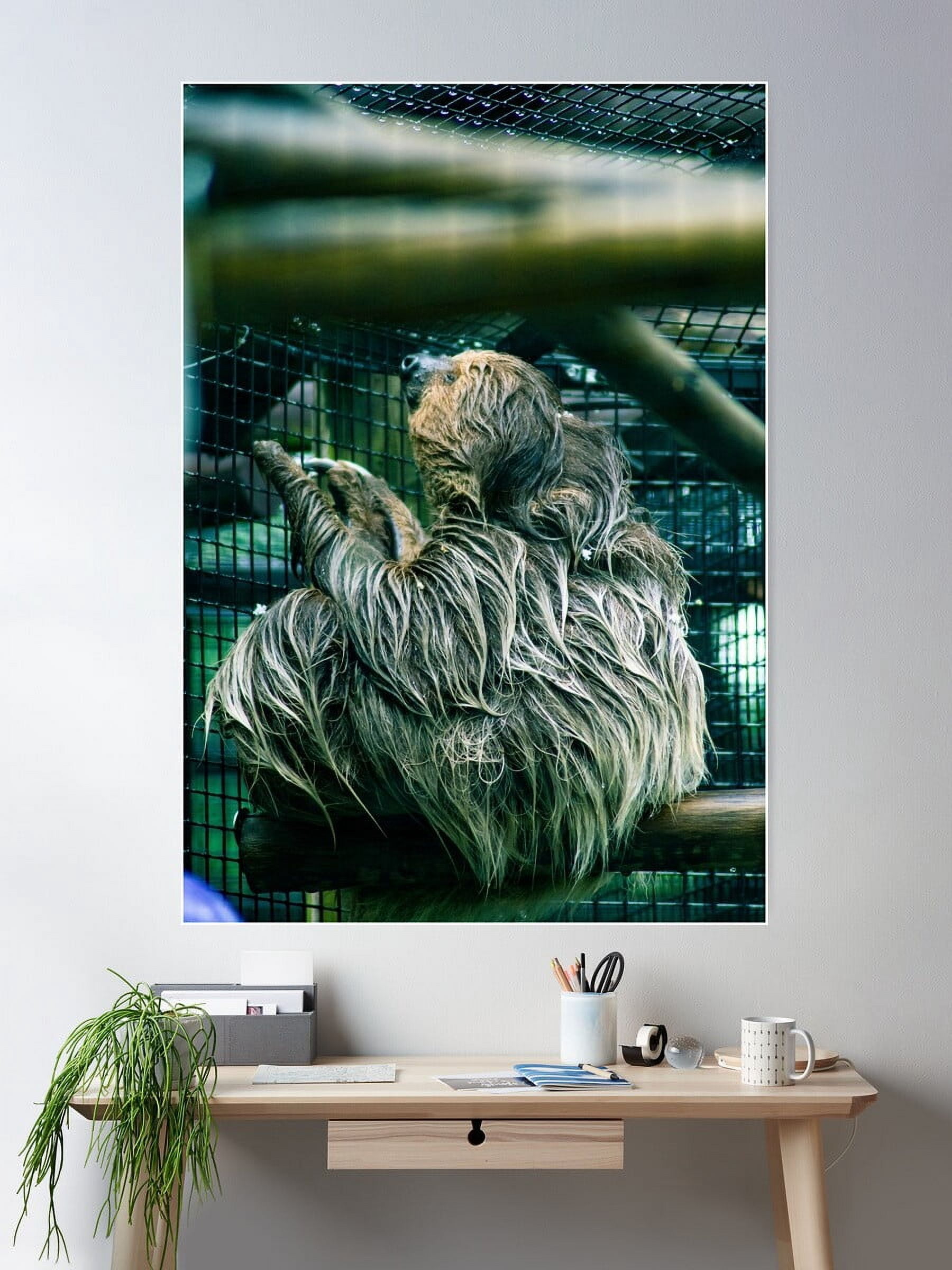 Sloth 101 Kna Prints - 1 Pc Poster Moody Sloth, UNFRAMED-24x36 - Walmart.com