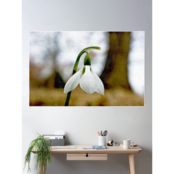 Kna Prints - 1 Pc Poster Moody Snowdrop, UNFRAMED-8x12