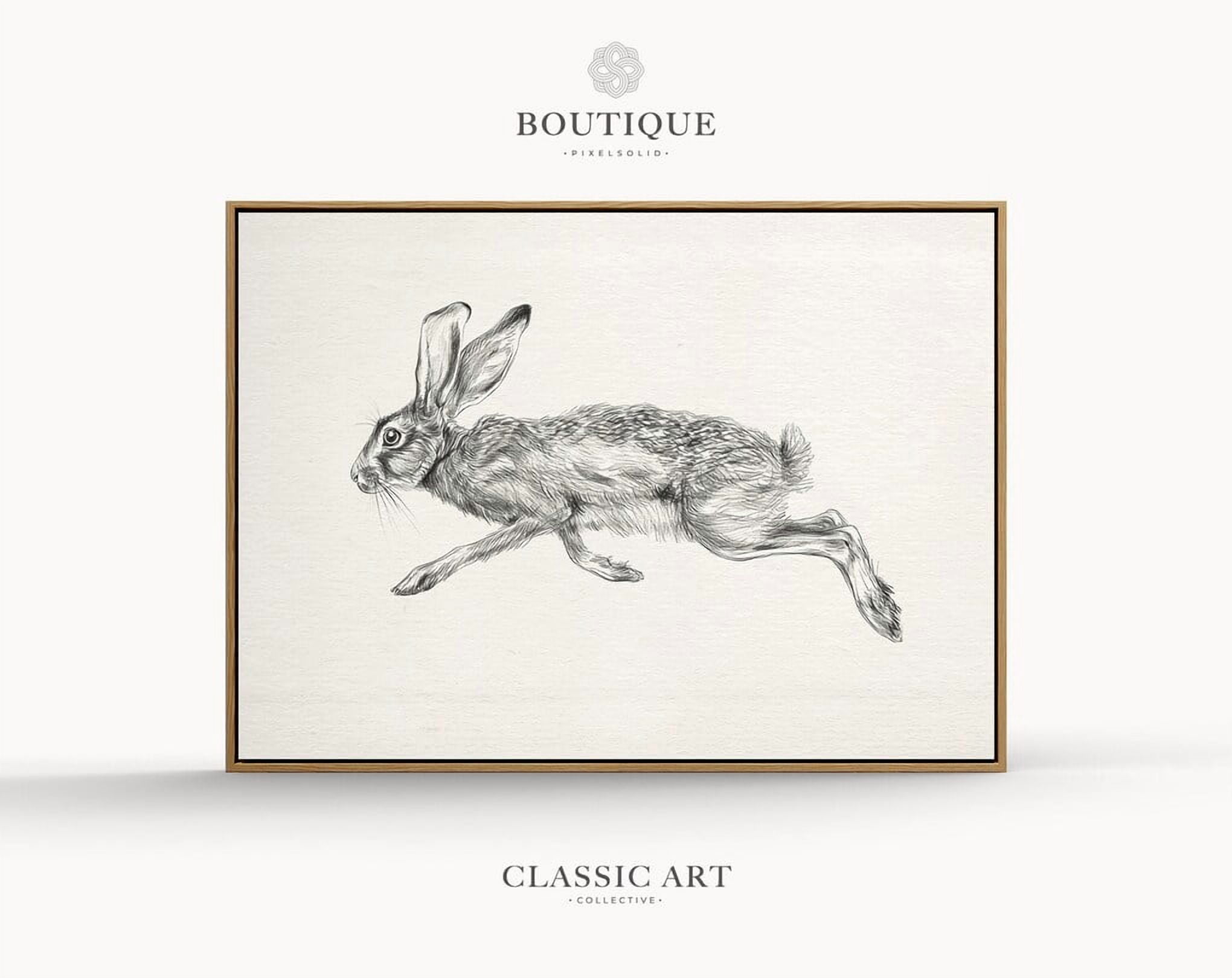Kna Prints - 1 Pc Poster Neutral Rabbit Sketch, Classy Easter Decor ...