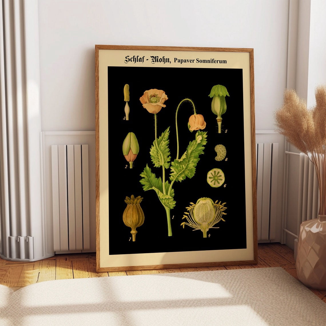 Kna Prints - 1 Pc Poster Opium Poppy Botanical Print Papaver ...