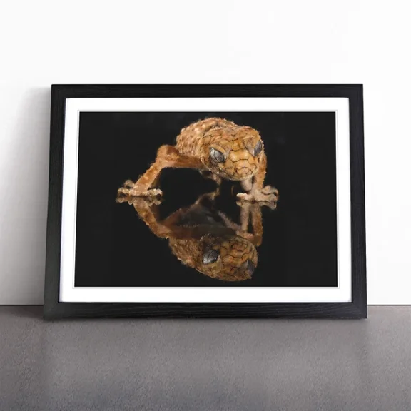 Kna Prints - 1 Pc Poster Rough Knob Gecko Lizard Wall Poster Decor, UNFRAMED-8x12