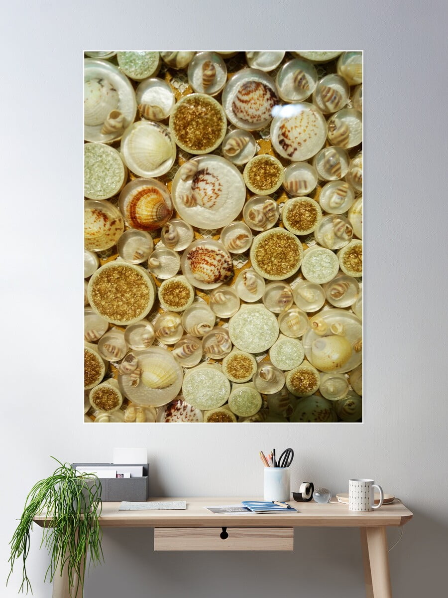 Kna Prints - 1 Pc Poster Shell Pattern, UNFRAMED-24x36 - Walmart.com
