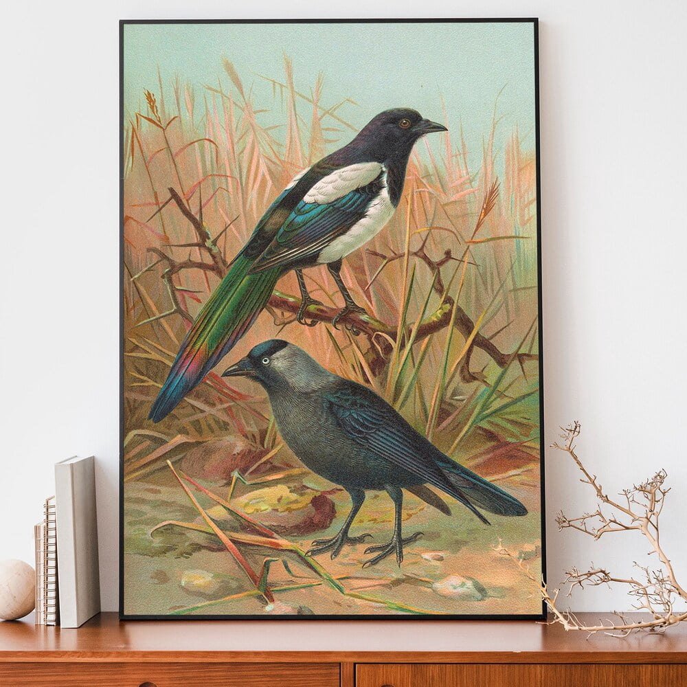 Kna Prints - 1 Pc Poster Vintage Magpie Art Print, Johann Friedrich ...