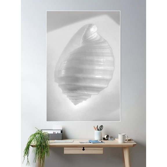Kna Prints - 1 Pc Poster White On White Seashell Art By Murray Bolesta!, UNFRAMED-12x18