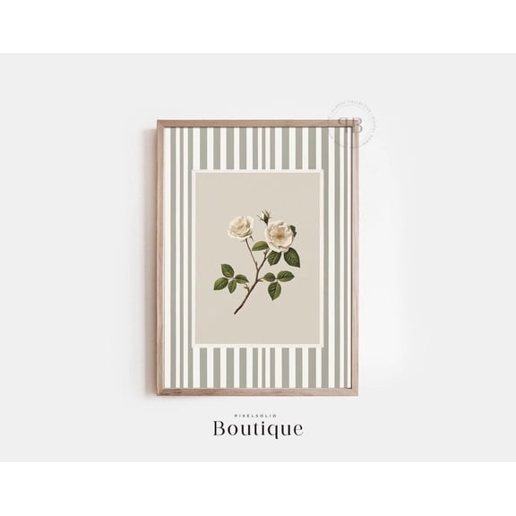 Kna Prints - 1 Pc Poster White Rose Botanical Wall Art , Stripe Border Printable Decor, Floral Illustration, Vintage Style Artwork No.635, UNFRAMED-8x12