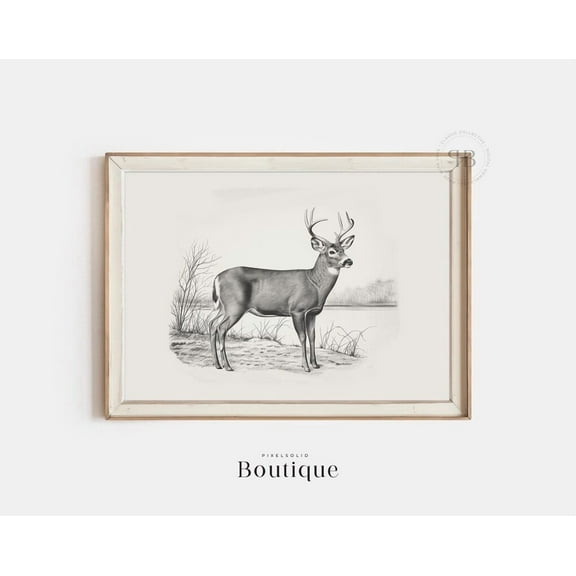 Kna Prints - 1 Pc Poster White Tailed Deer Sketch, Neutral Buck Illustration Print, Farmhouse Hting Wall Decor, Deer Drawing, Minimalist Buck Print, No.394, UNFRAMED-8x12