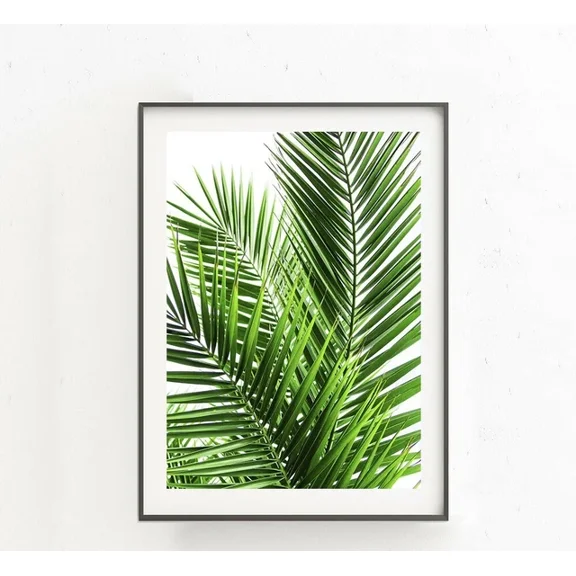 Kna Prints - 1 Pcs Poster Green Palm Leaves Tropical Theme Wall Art Print. Perfect Home Decor, UNFRAMED-16x24