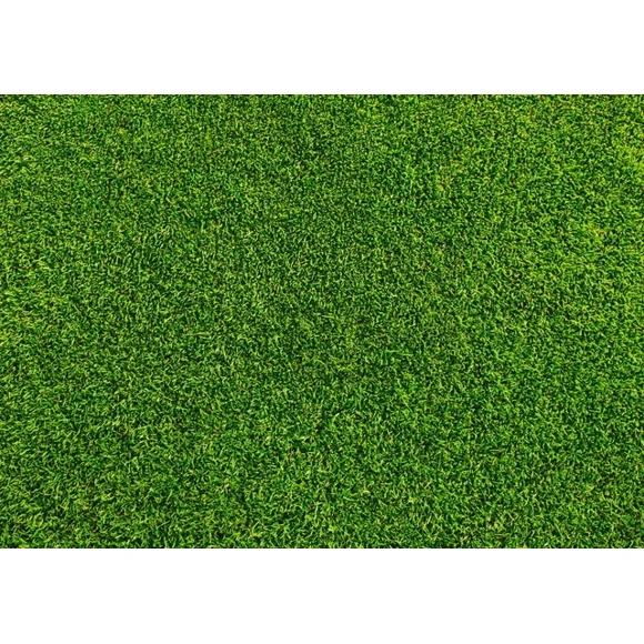 Kna Prints - 1 Pcs Poster Sports Turf Lawn Green Grass Poster Art Print - Gift #15176, UNFRAMED-24x36