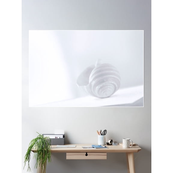 Kna Prints - Blue Seashell By Murray Bolesta! Poster , UNFRAMED-8x12