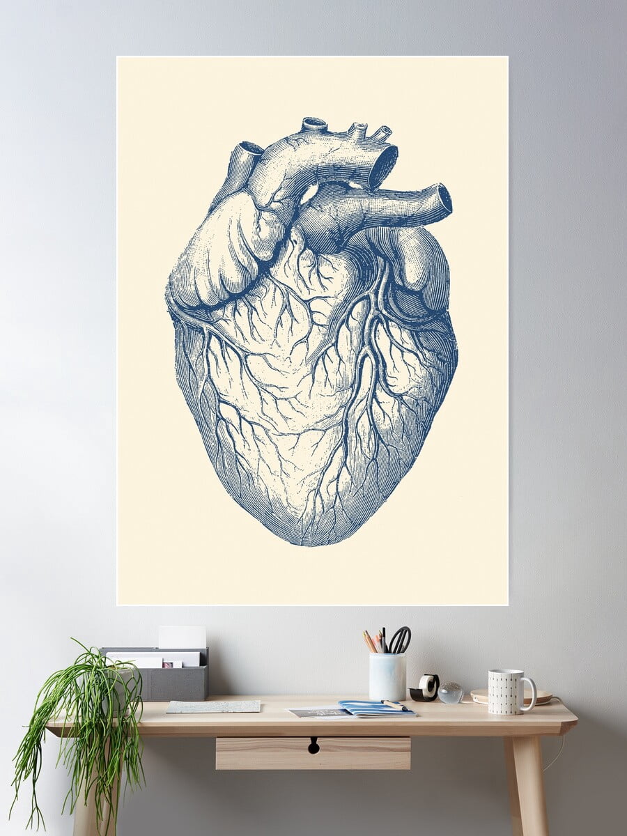Kna Prints - Human Heart - Vintage Medical Diagram Poster Wall Art ...